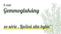 Lieiv sila byln - Gemmoglukny