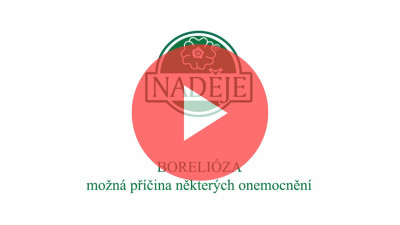 Boreliza - evawellness.sk & Mgr. Jarmila Podhorn