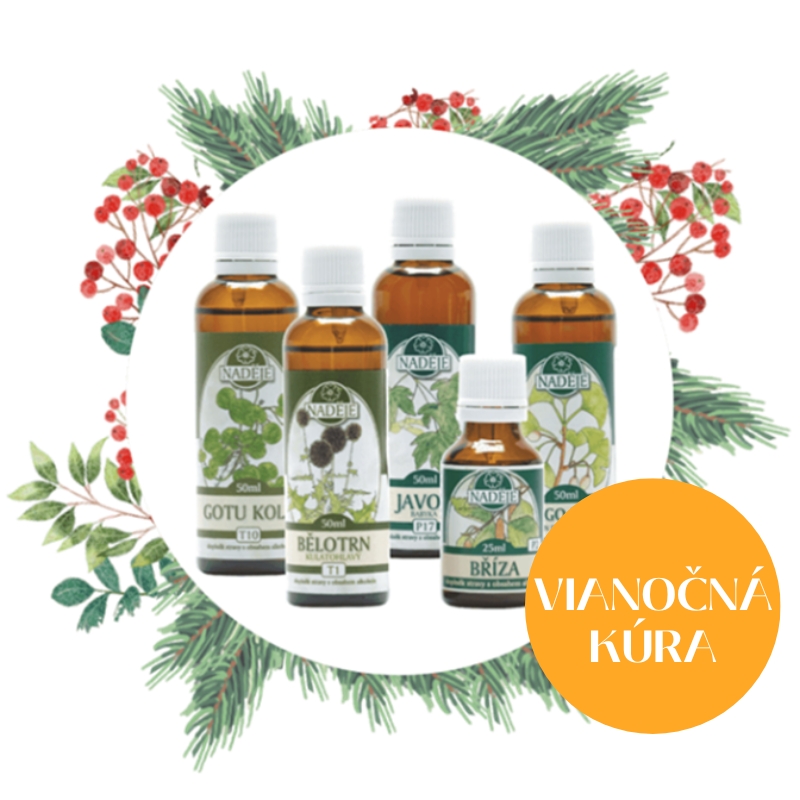 Vianočná kúra pre zlepšenie učenia