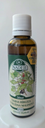 PB10 R�bez�a - Malina - �ensk� probl�my