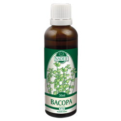 P70 Bacopa - funkcie mozgu, pamäť, koncentrácia, antioxidanty