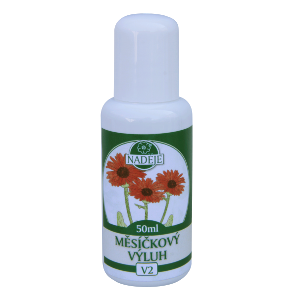 V2 Nechtkov vluh